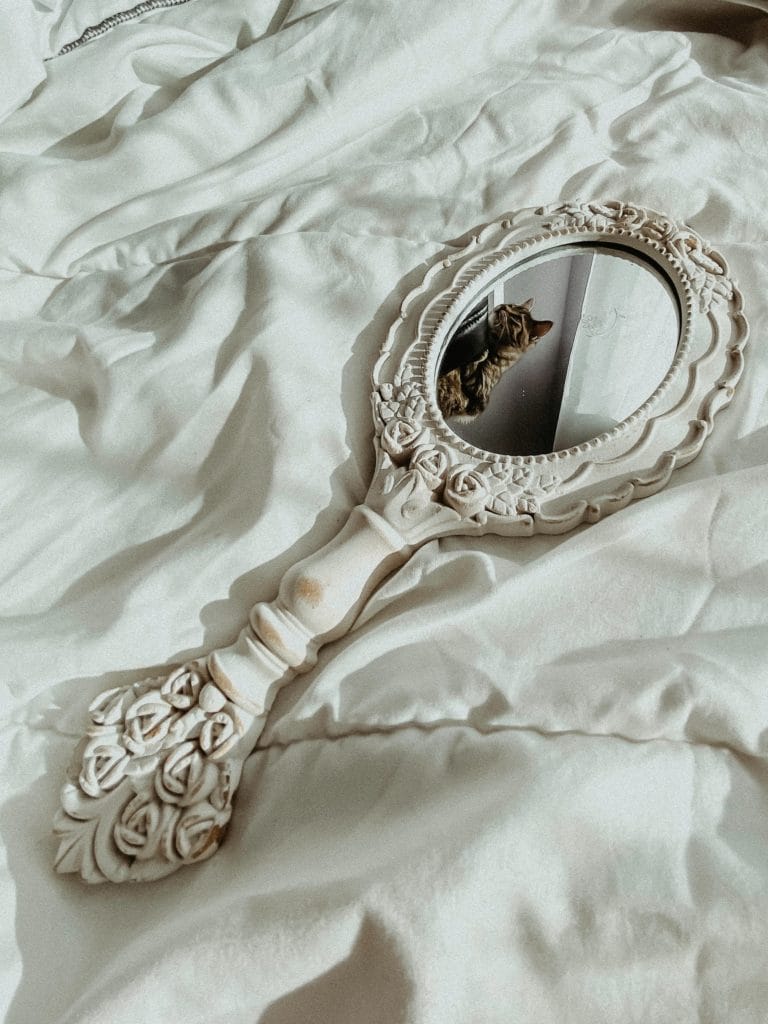 Lees meer over het artikel Ben jij niet zichtbaar?